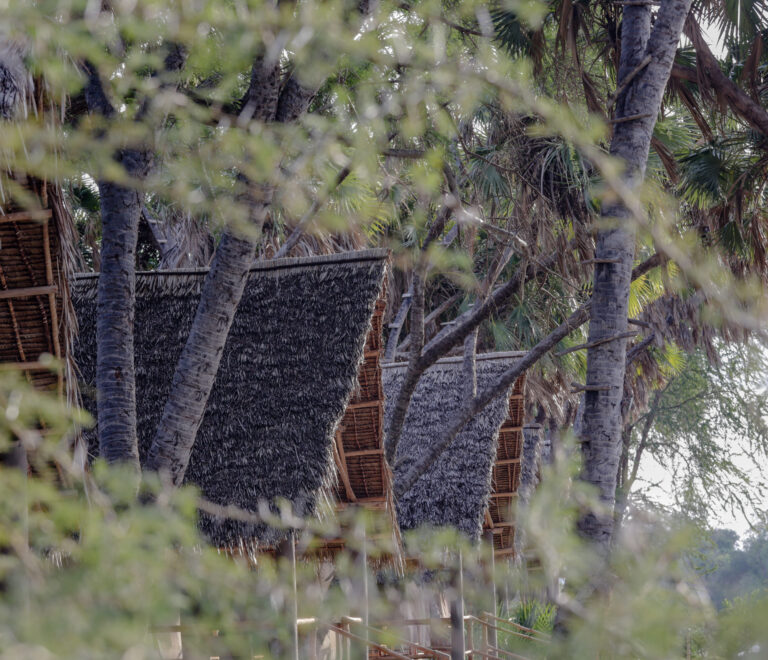 Sunset kissing the river