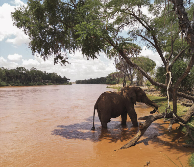 River Banks of Doa Doa