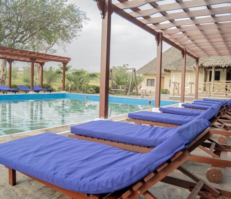 Swimming Pool View