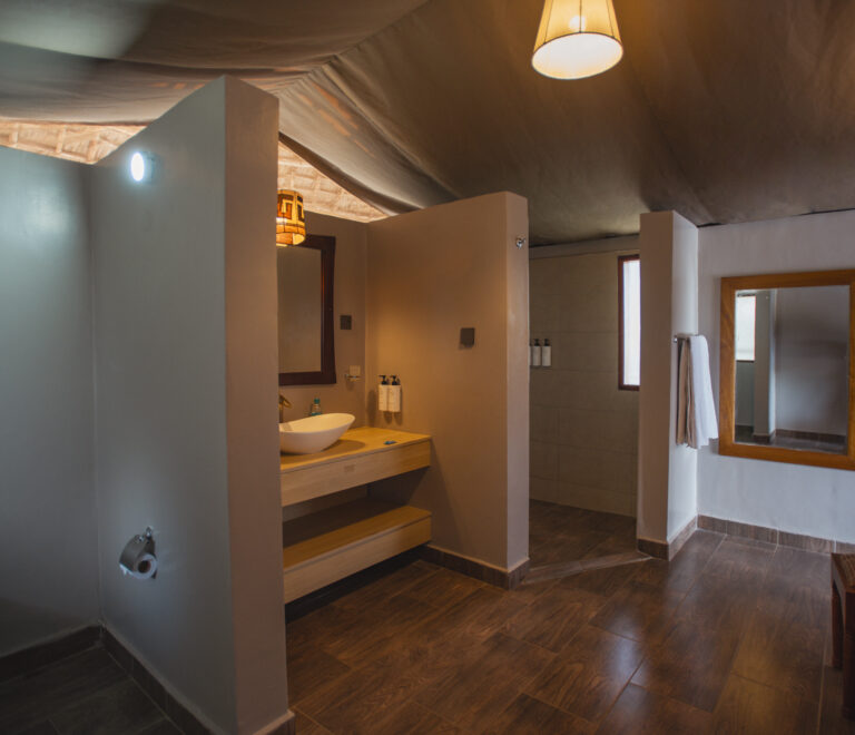 Tent Bathroom